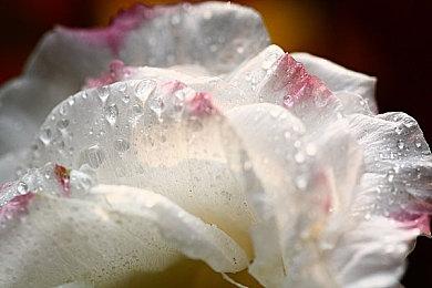 《火山的女儿》Steam史低促销 97%好评如潮